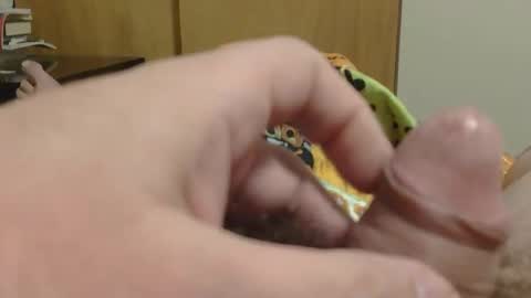 SweetRevenge online show from December 2025 09:33:01 PM