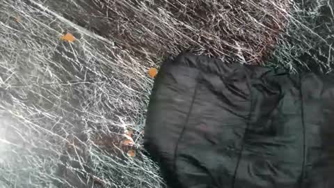 - allen online show from November 2025 07:52:01 AM