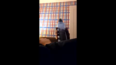 swinginghammer1987 online show from March 2026 08:04:01 AM