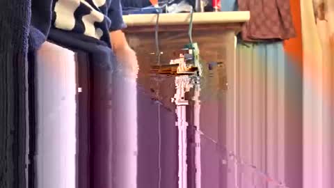 swinginghammer1987 online show from April 2026 09:41:02 PM