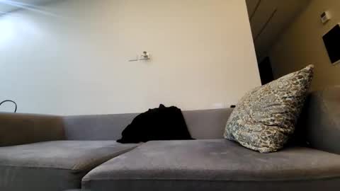 Tala online show from February 2025 11:55:01 PM