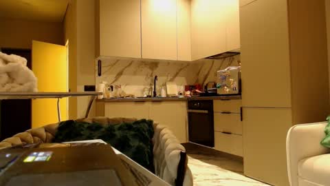 Snapshot of taliiyafiredream chatting on January 2025 10:50:02 AM Kira online show from January 2025 10:50:02 AM