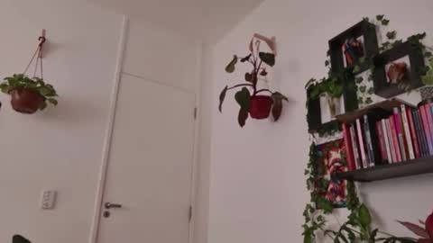 Tali Majid online show from February 2026 02:32:02 PM