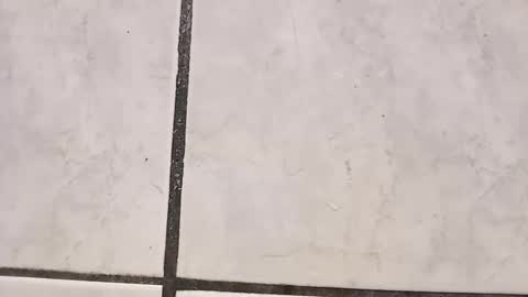 tall6feet7inch online show from September 2025 08:41:01 AM