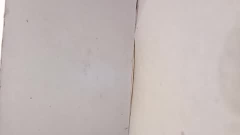 tall6feet7inch online show from February 2026 10:08:02 PM