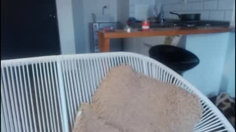 Snapshot of tamara_daniels chatting on May 2026 09:02:03 PM Tamara online show from May 2026 09:02:03 PM