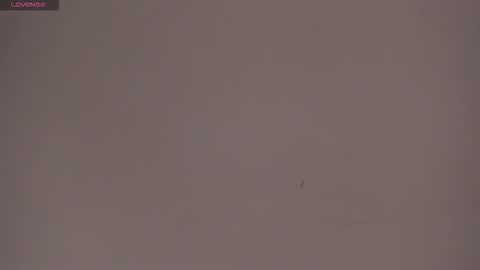 tammysanz online show from December 2025 03:20:01 PM