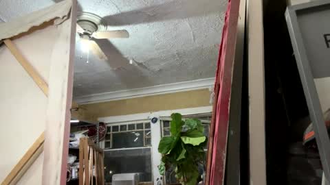 tanhottie666 online show from August 2026 11:24:02 AM