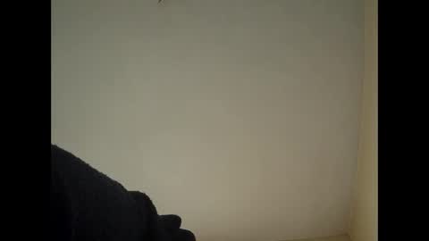 Snapshot of tatko874482 chatting on February 2026 07:49:01 AM Beliqnegar online show from February 2026 07:49:01 AM