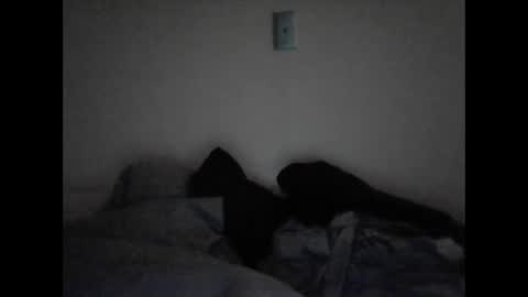 tattedpanther online show from December 2024 04:39:02 PM