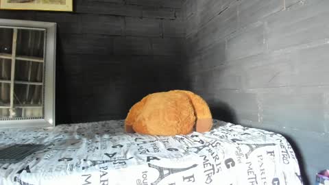 Snapshot of taurus_boy1 chatting on January 2025 06:02:01 PM T A U R U S online show from January 2025 06:02:01 PM