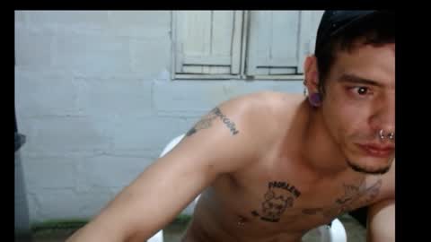 tayler punk online show from December 2024 12:52:01 AM