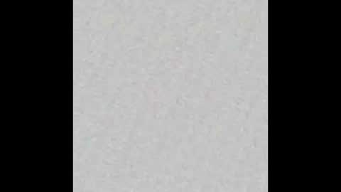  Little Taylor  online show from October 2025 11:43:01 AM