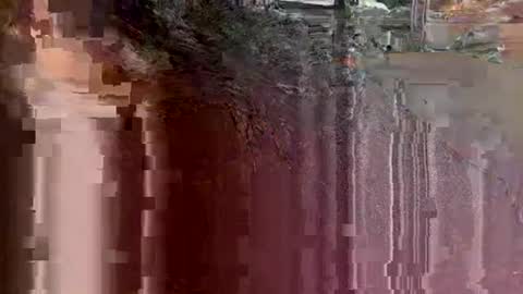 Snapshot of tbaexox chatting on September 2025 03:41:02 AM tbaexox online show from September 2025 03:41:02 AM