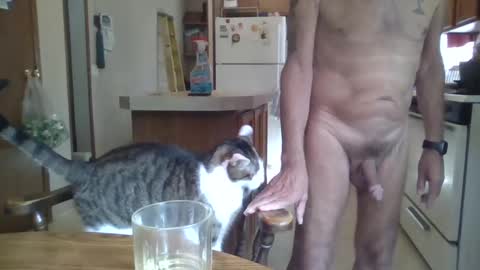 Teak online show from September 2025 06:08:01 PM