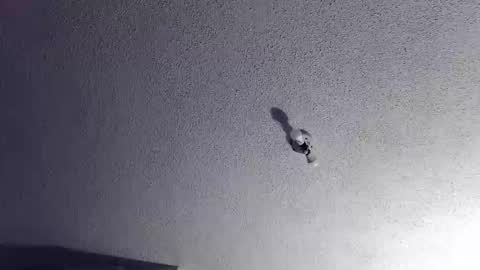 technosex14 online show from November 2025 03:28:02 AM