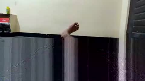 telugu_dick_hyd online show from November 2025 10:53:02 PM