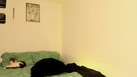 Snapshot of teo_369 chatting on September 2025 02:50:02 PM Teo online show from September 2025 02:50:02 PM