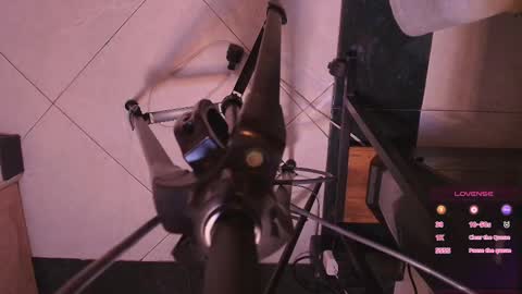 Terra Elowen online show from November 2025 11:20:01 AM