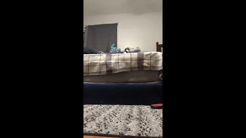 teteretw online show from January 2026 12:03:02 AM