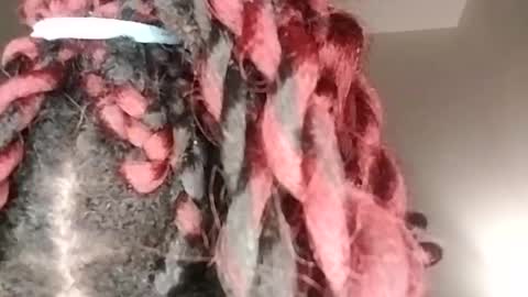 sexi lexi online show from January 2025 05:32:01 AM