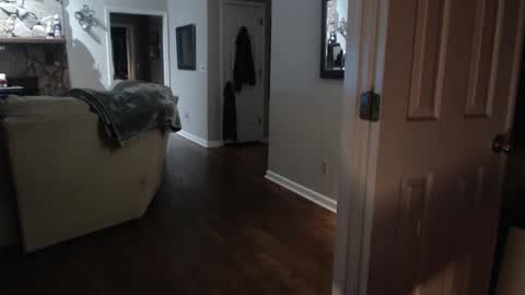 Brooklyn online show from January 2025 07:55:02 AM