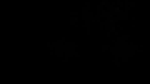 CJ online show from March 2026 05:08:02 AM