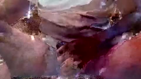 Snapshot of thatguy_bda22 chatting on February 2025 01:51:02 PM That Guy J online show from February 2025 01:51:02 PM