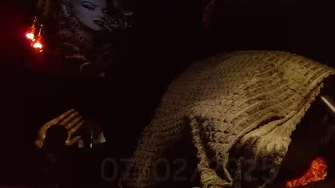 GIORGGIO online show from February 2025 03:30:02 PM