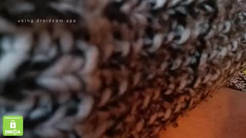 The Real Hanjob Couple online show from February 2026 11:49:01 AM