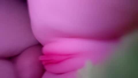thebigcock4u222427 online show from May 2026 04:42:01 AM