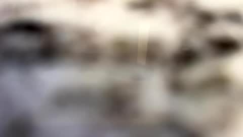 Snapshot of thebodythefeet chatting on January 2025 07:23:02 PM thebodythefeet online show from January 2025 07:23:02 PM