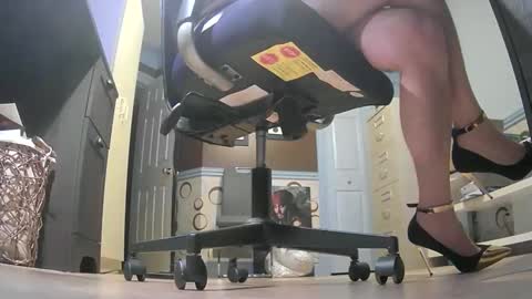 thecowboy_74 online show from January 2026 04:05:02 AM