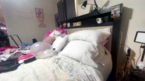 thedaddyest online show from February 2026 04:27:02 PM