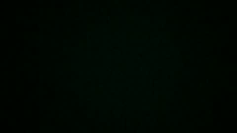 King Tyler online show from February 2025 04:37:02 AM