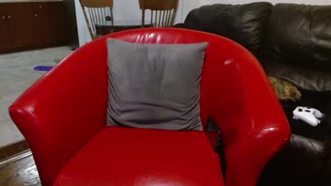 thekodyy online show from January 2025 09:05:01 PM