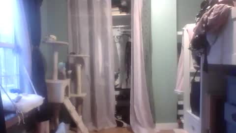 Snapshot of thelittlebambii chatting on January 2025 09:55:02 PM Little Bambii online show from January 2025 09:55:02 PM