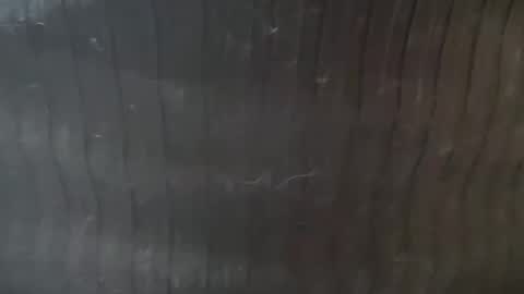 Lucy Lucy online show from November 2025 03:22:01 PM