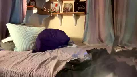 theonlyboi43ver online show from December 2025 11:44:01 PM