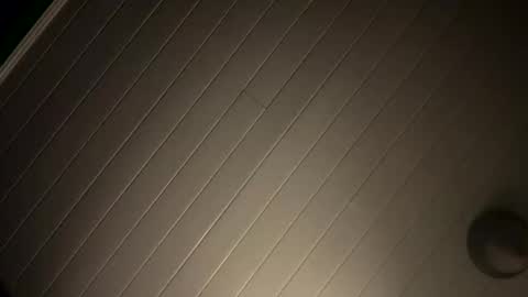 theonlyboi43ver online show from February 2026 11:14:02 AM