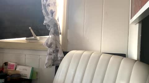 Snapshot of thesashadomme chatting on October 2025 05:54:01 PM The Sasha Domme online show from October 2025 05:54:01 PM