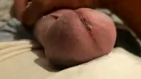 thisloadsforu online show from July 2026 05:04:01 PM