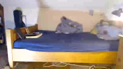 Thomas online show from November 2025 05:05:02 PM