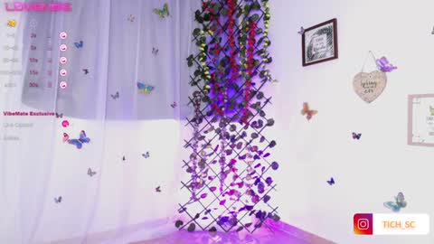 Snapshot of tich__ chatting on December 2024 12:16:02 PM TICH online show from December 2024 12:16:02 PM