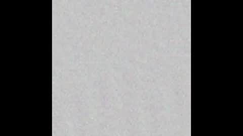 Reece online show from November 2025 11:12:02 AM