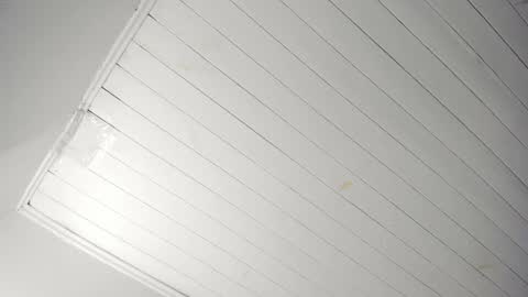 Tiffany online show from November 2025 11:09:02 AM