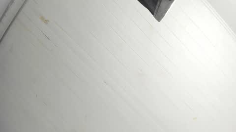 Snapshot of tiffanywright_ chatting on December 2025 01:08:01 PM Tiffany online show from December 2025 01:08:01 PM