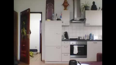 tigertrance online show from March 2025 11:44:02 AM