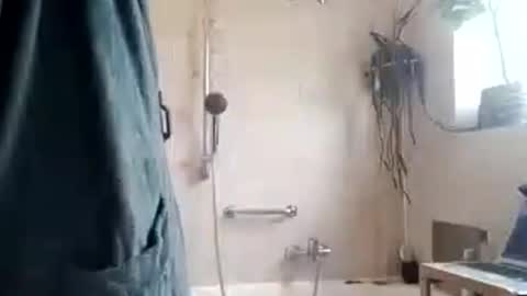 tigertrance online show from November 2025 10:26:01 AM