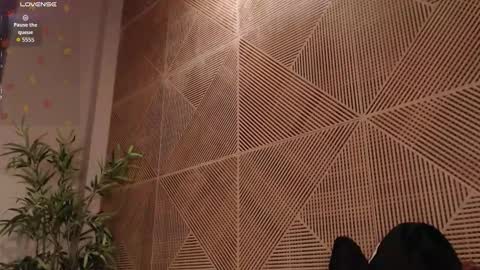 Tim Fox online show from February 2026 12:01:01 PM